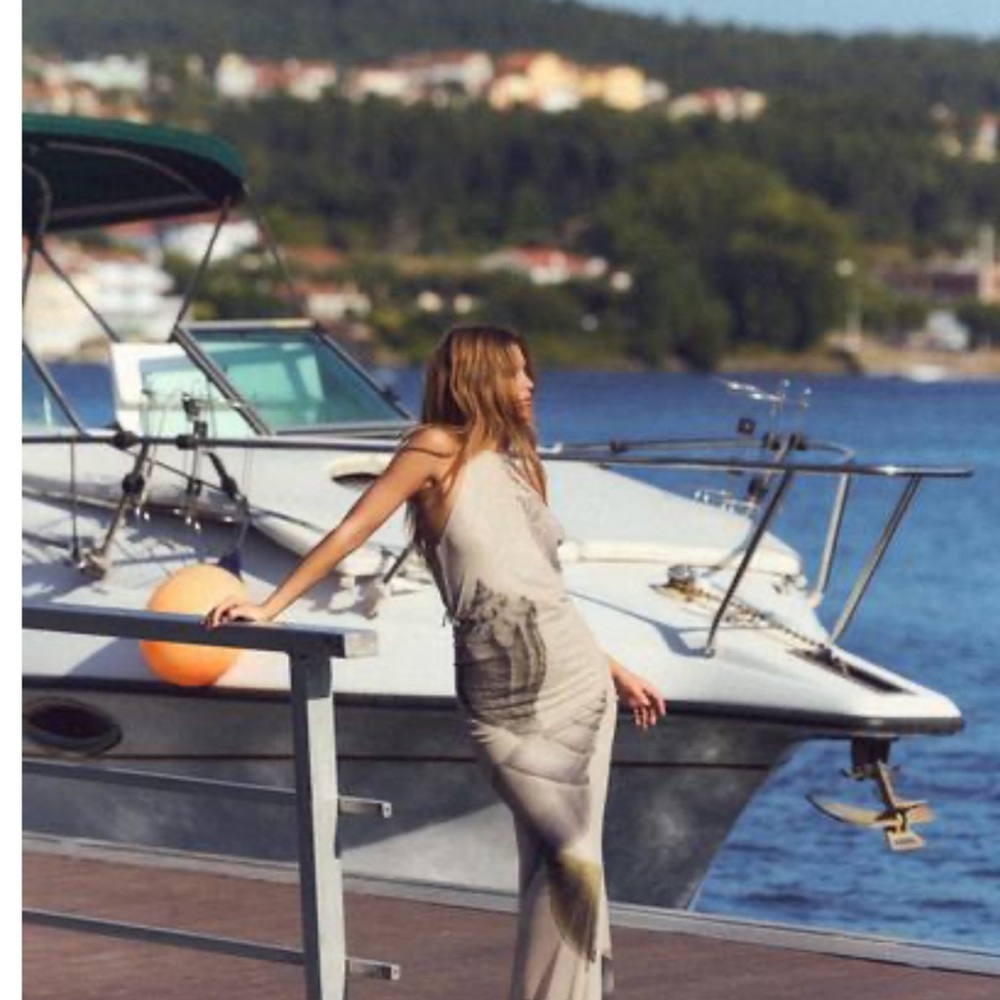 Zara Beige and Gray Maxi Dress